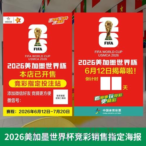 如何精准定位世界杯投注技巧的获取入口