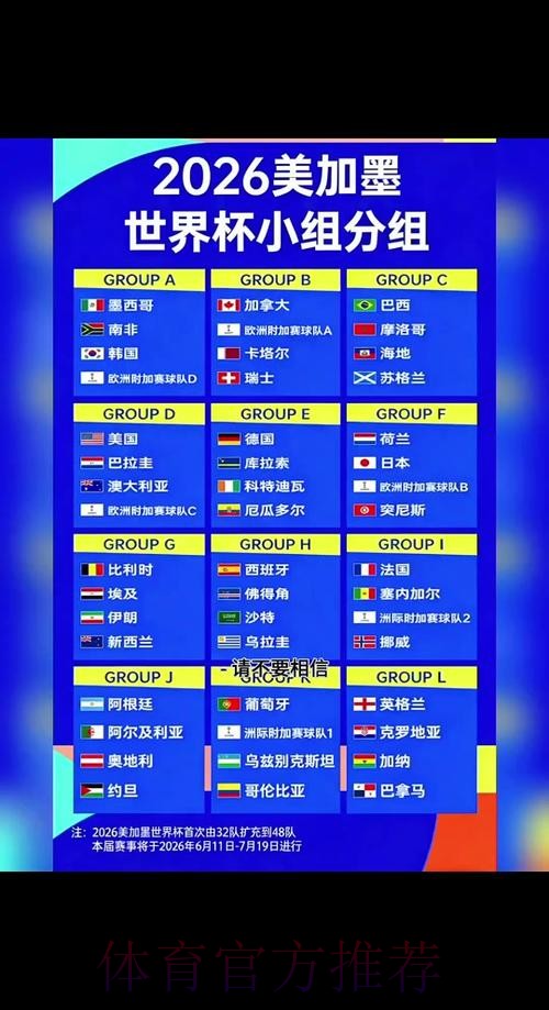 世界杯比分官方站点更新及深度解析