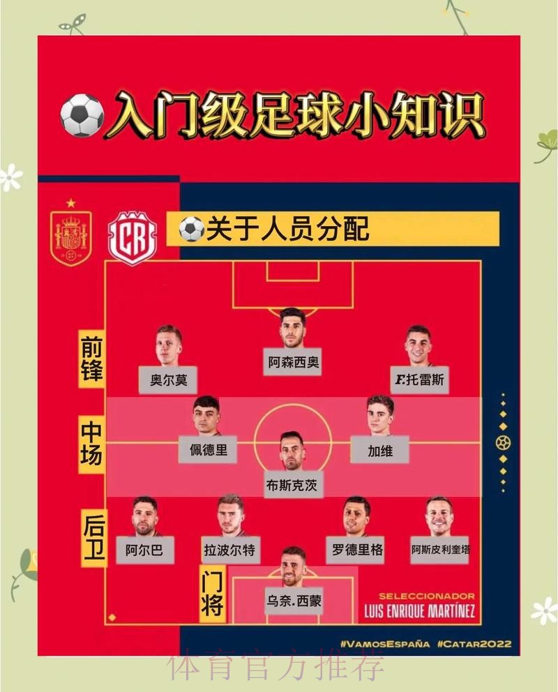 世界杯比分官方站点更新及深度解析